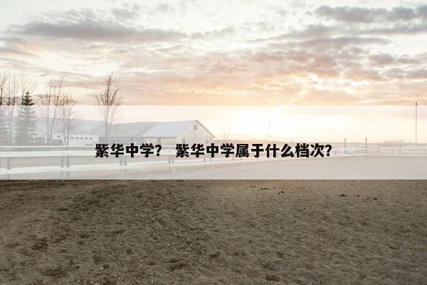 紫华中学？ 紫华中学属于什么档次？