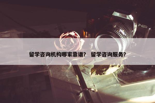 留学咨询机构哪家靠谱？ 留学咨询服务？