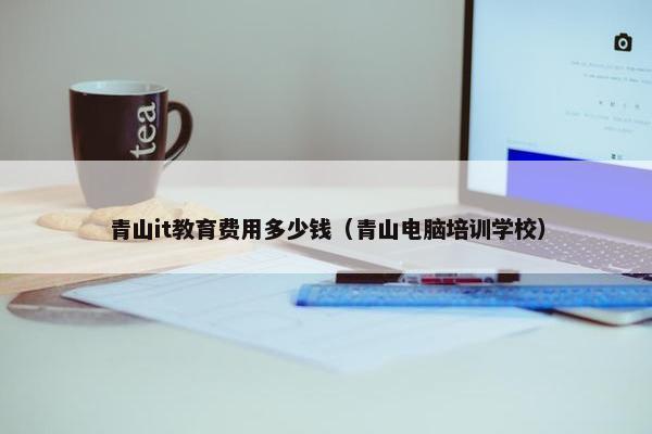 青山it教育费用多少钱（青山电脑培训学校）