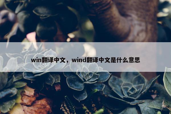 win翻译中文，wind翻译中文是什么意思