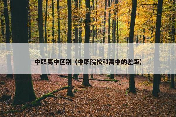 中职高中区别（中职院校和高中的差距）