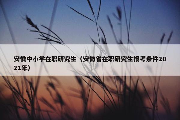 安徽中小学在职研究生（安徽省在职研究生报考条件2021年）
