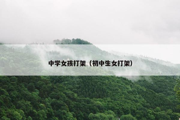 中学女孩打架（初中生女打架）