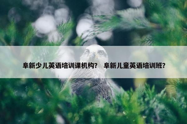 阜新少儿英语培训课机构？ 阜新儿童英语培训班？