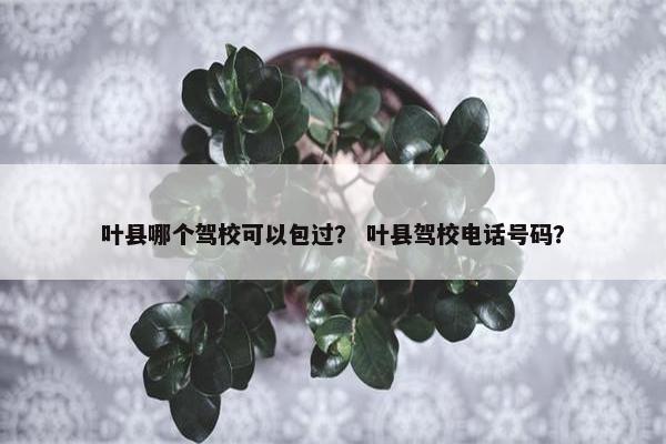叶县哪个驾校可以包过？ 叶县驾校电话号码？