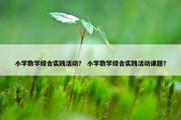 小学数学综合实践活动？ 小学数学综合实践活动课题？