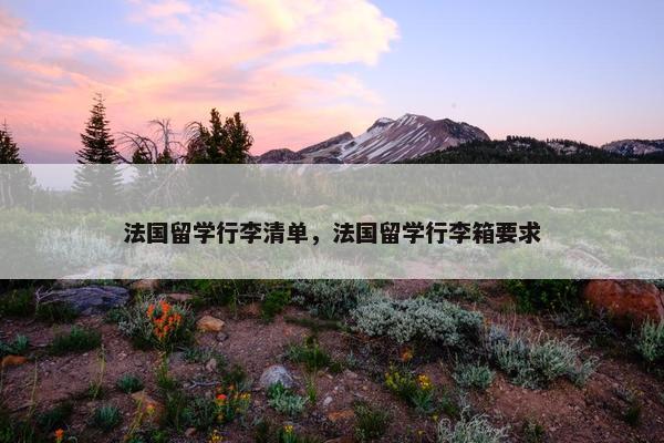 法国留学行李清单，法国留学行李箱要求