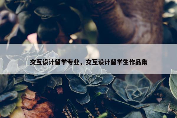 交互设计留学专业，交互设计留学生作品集
