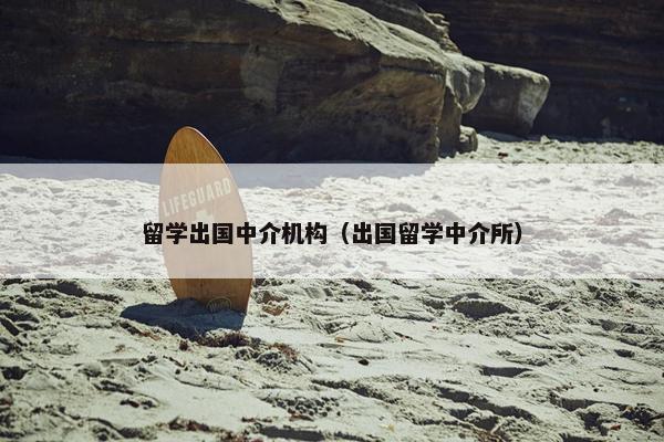 留学出国中介机构（出国留学中介所）