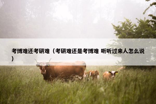 考博难还考研难（考研难还是考博难 听听过来人怎么说）