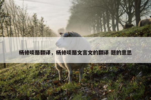 杨修啖酪翻译，杨修啖酪文言文的翻译 题的意思