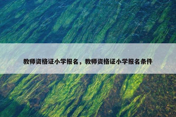 教师资格证小学报名，教师资格证小学报名条件