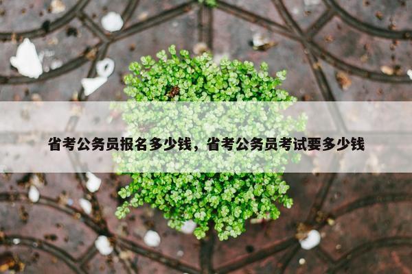 省考公务员报名多少钱，省考公务员考试要多少钱