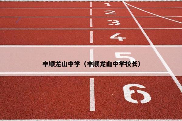丰顺龙山中学（丰顺龙山中学校长）