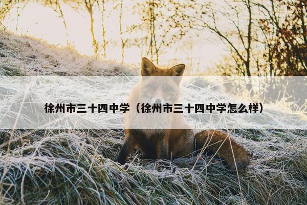 徐州市三十四中学（徐州市三十四中学怎么样）