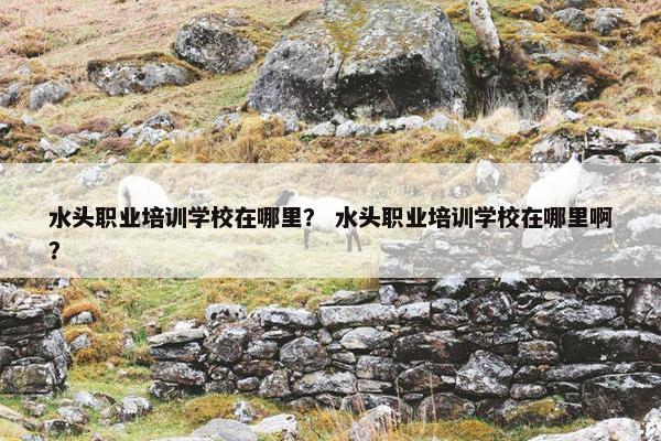 水头职业培训学校在哪里？ 水头职业培训学校在哪里啊？