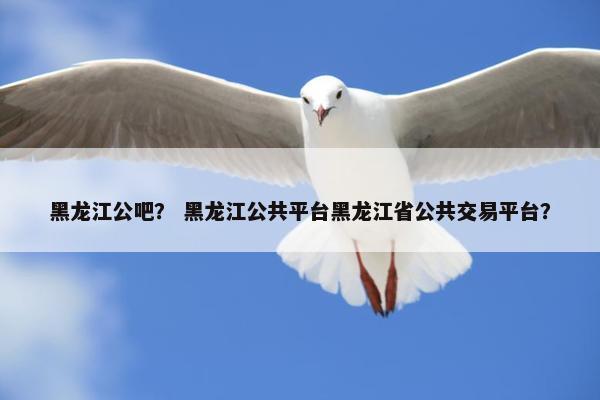 黑龙江公吧？ 黑龙江公共平台黑龙江省公共交易平台？