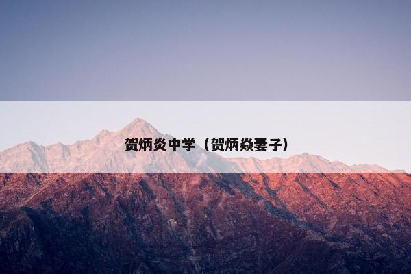 贺炳炎中学（贺炳焱妻子）