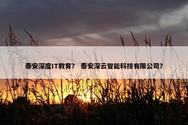 泰安深度IT教育？ 泰安深云智能科技有限公司？
