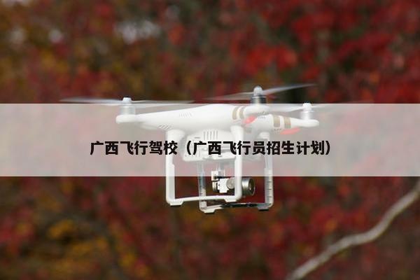广西飞行驾校（广西飞行员招生计划）