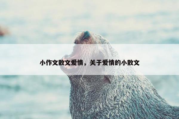 小作文散文爱情，关于爱情的小散文
