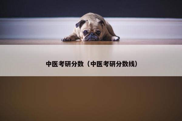 中医考研分数（中医考研分数线）