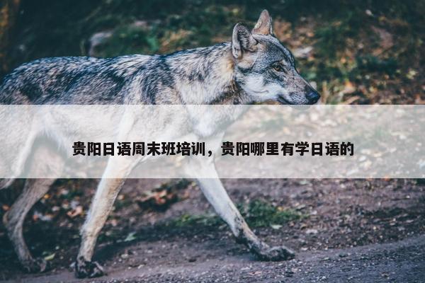 贵阳日语周末班培训，贵阳哪里有学日语的