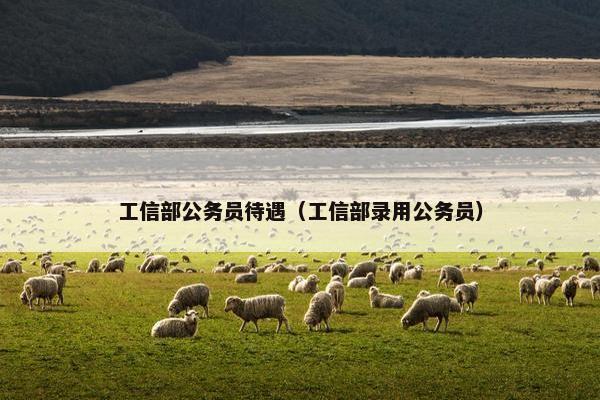 工信部公务员待遇（工信部录用公务员）
