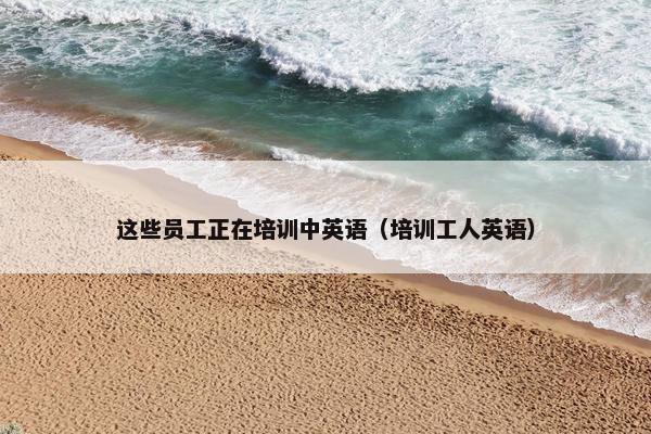这些员工正在培训中英语（培训工人英语）