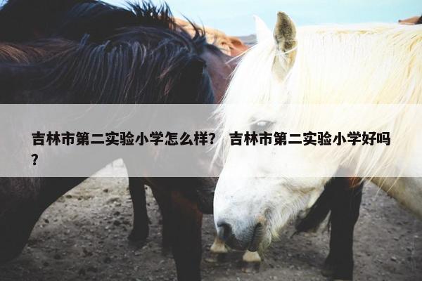 吉林市第二实验小学怎么样？ 吉林市第二实验小学好吗？