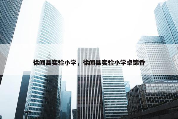 徐闻县实验小学，徐闻县实验小学卓锦香