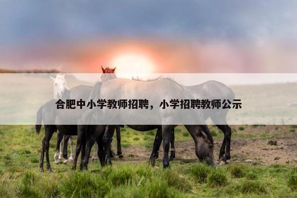 合肥中小学教师招聘，小学招聘教师公示