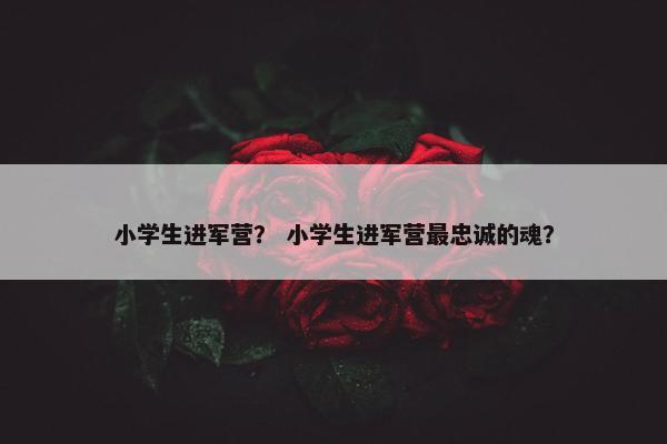 小学生进军营？ 小学生进军营最忠诚的魂？