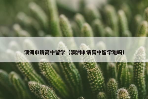 澳洲申请高中留学（澳洲申请高中留学难吗）