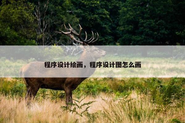 程序设计绘画，程序设计图怎么画