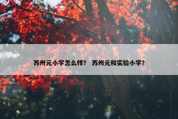 苏州元小学怎么样？ 苏州元和实验小学？