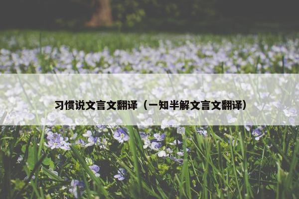 习惯说文言文翻译（一知半解文言文翻译）