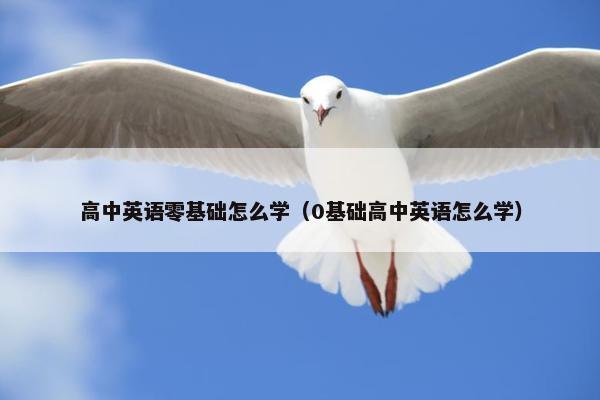 高中英语零基础怎么学（0基础高中英语怎么学）