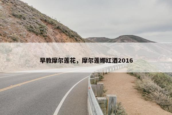 早教摩尔莲花，摩尔莲娜红酒2016