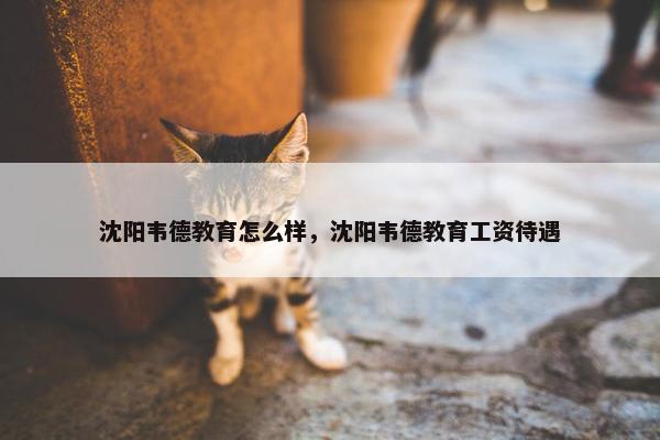 沈阳韦德教育怎么样，沈阳韦德教育工资待遇