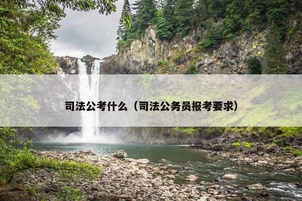 司法公考什么（司法公务员报考要求）