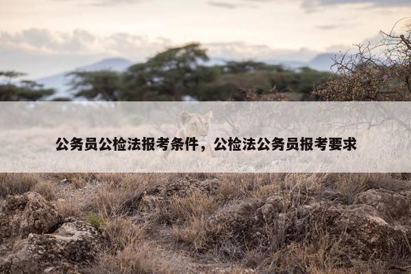 公务员公检法报考条件，公检法公务员报考要求