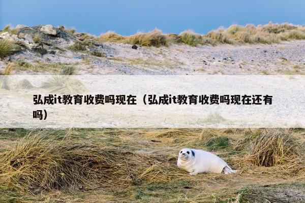 弘成it教育收费吗现在（弘成it教育收费吗现在还有吗）