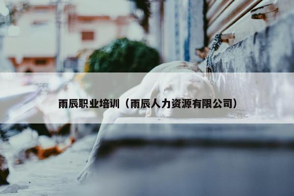 雨辰职业培训（雨辰人力资源有限公司）