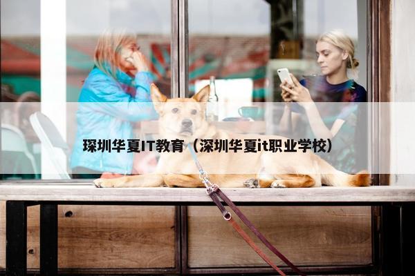 琛圳华夏IT教育（深圳华夏it职业学校）