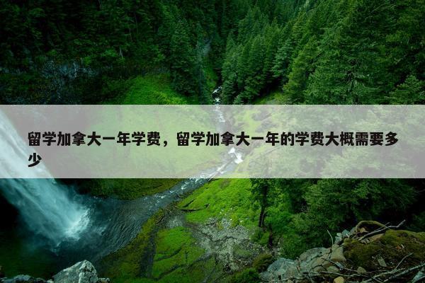 留学加拿大一年学费，留学加拿大一年的学费大概需要多少