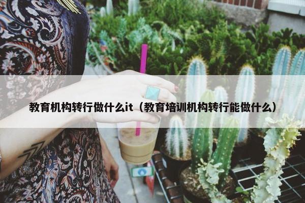教育机构转行做什么it（教育培训机构转行能做什么）