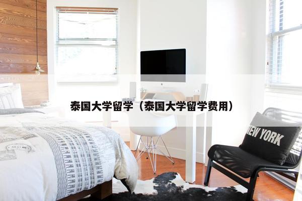 泰国大学留学（泰国大学留学费用）