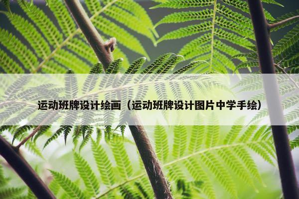 运动班牌设计绘画（运动班牌设计图片中学手绘）