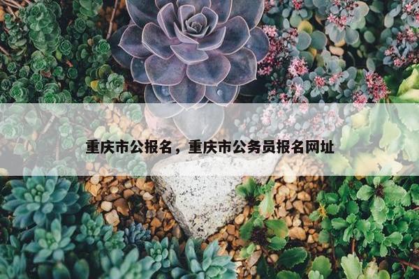 重庆市公报名，重庆市公务员报名网址